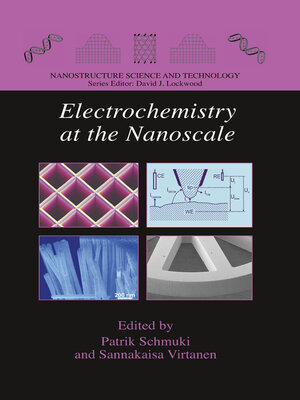 cover image of Electrochemistry at the Nanoscale